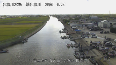 yoko2026101814_image