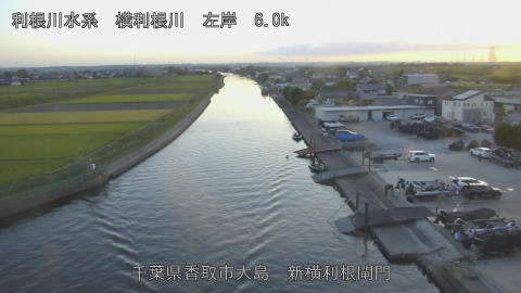 yoko2026101817_image