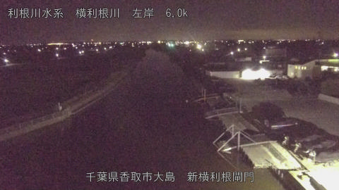 yoko2026101901_image