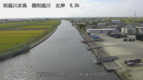 yoko2026101912_image