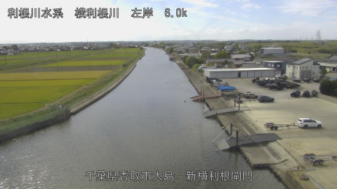 yoko2026102212_image