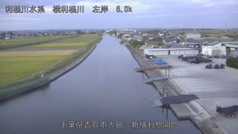 yoko2026102306_image