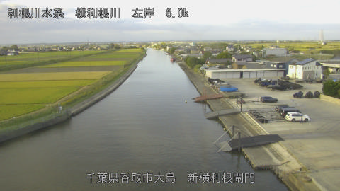 yoko2026102307_image