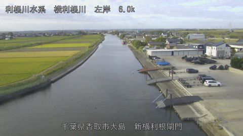 yoko2026102308_image