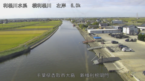 yoko2026102309_image