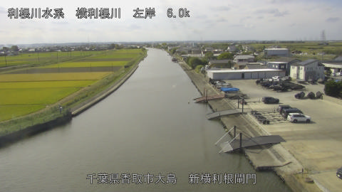 yoko2026102311_image