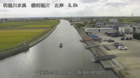 yoko2026102312_image