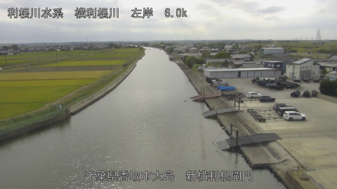 yoko2026102313_image