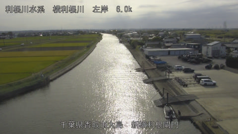 yoko2026102314_image
