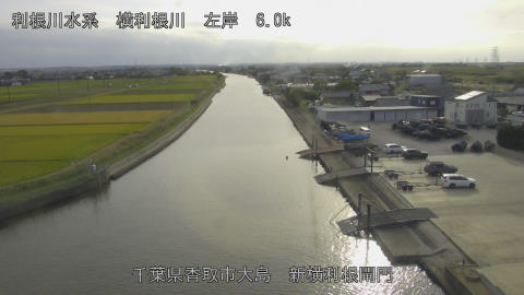 yoko2026102315_image