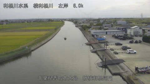 yoko2026102316_image