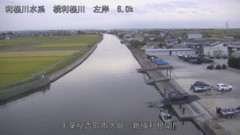 yoko2026102317_image