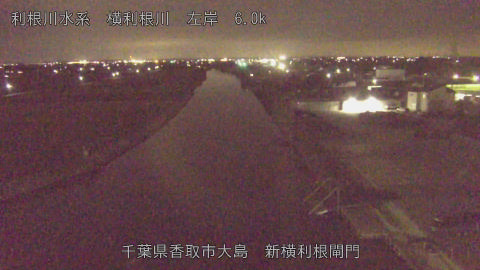 yoko2026102321_image