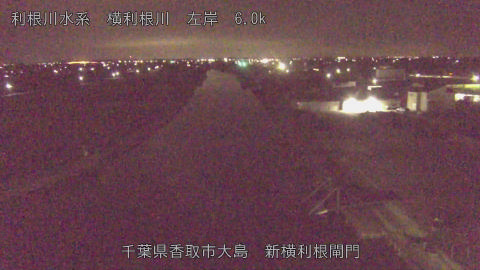 yoko2026102401_image