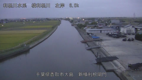 yoko2026102406_image