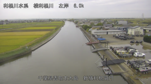 yoko2026102407_image