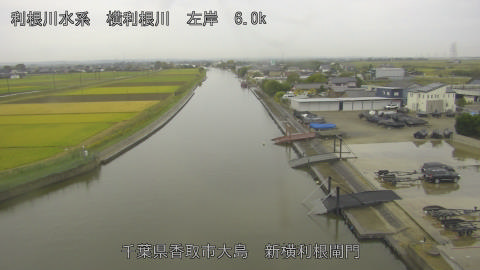yoko2026102408_image