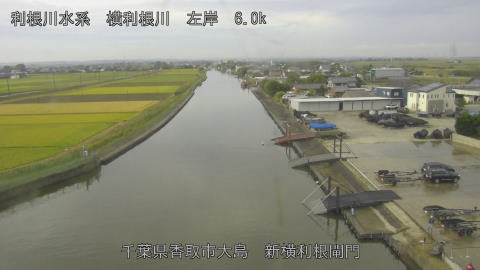 yoko2026102409_image