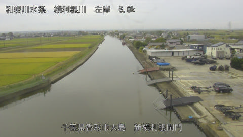 yoko2026102410_image