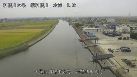 yoko2026102411_image