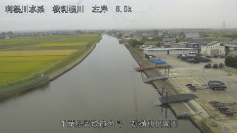 yoko2026102413_image