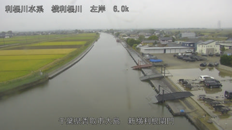 yoko2026102414_image