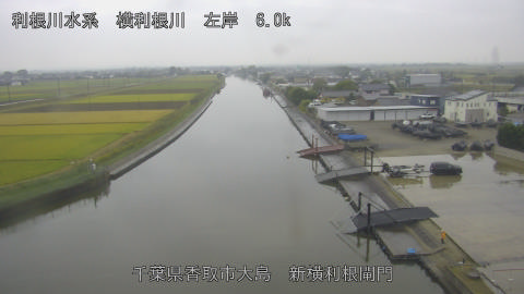 yoko2026102416_image