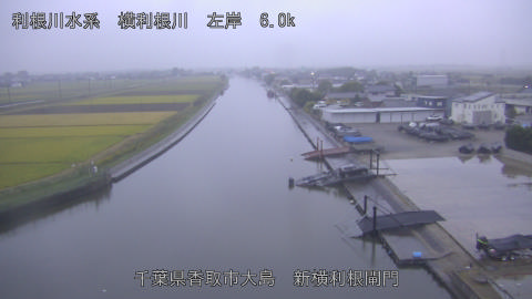 yoko2026102417_image