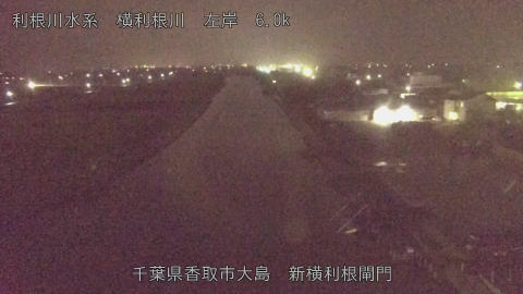 yoko2026102421_image