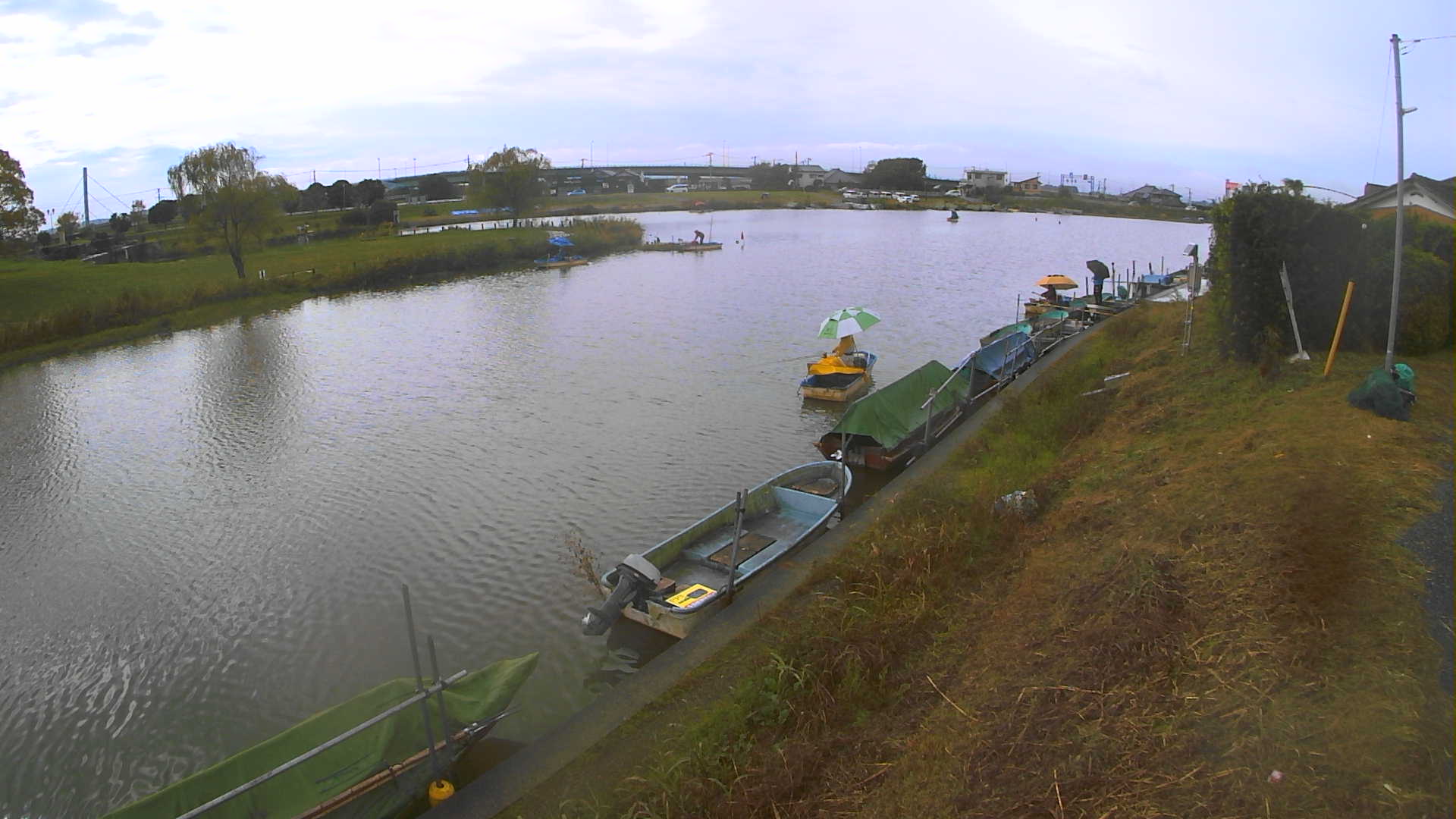 yokoko2025110912_image