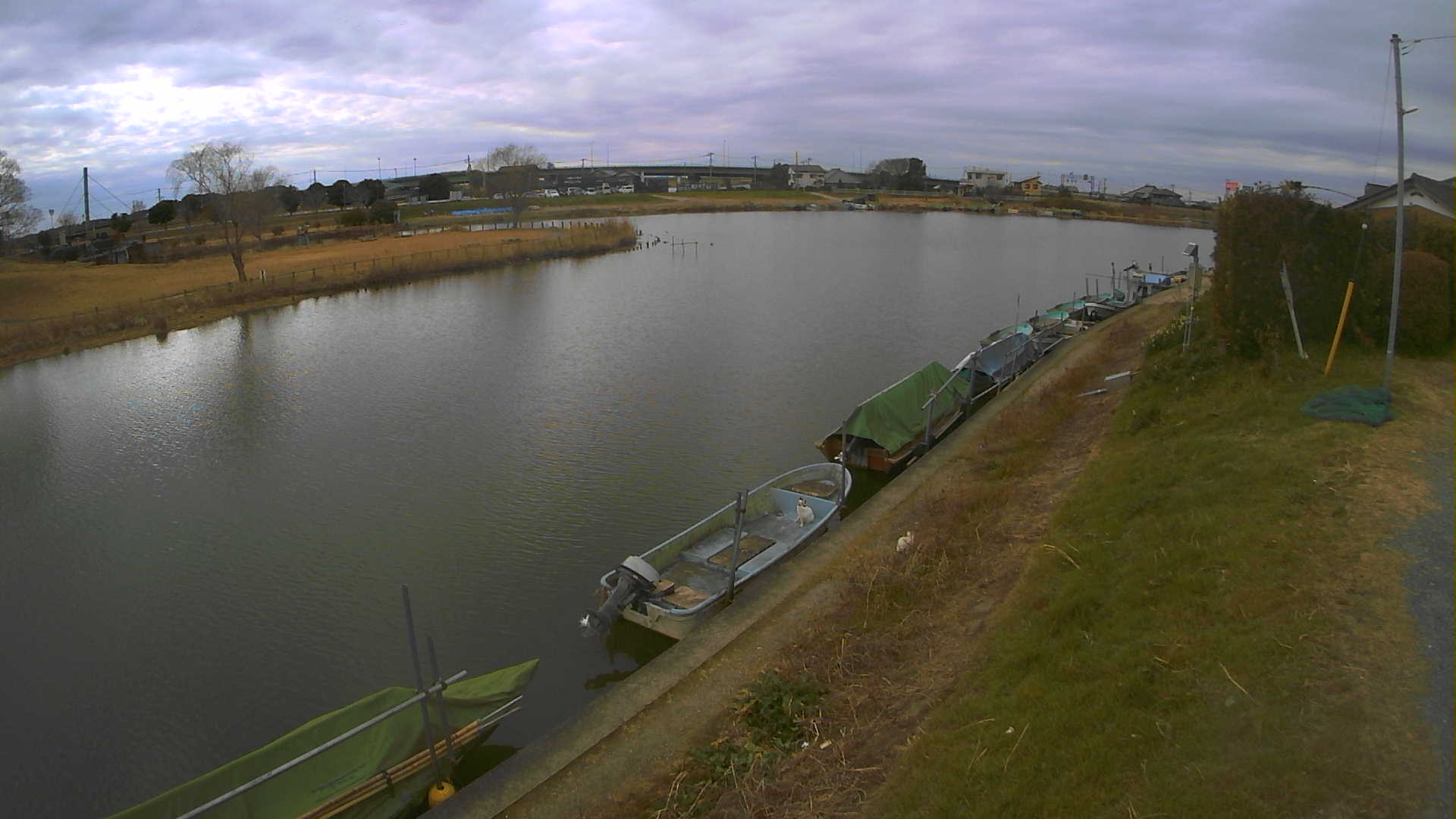 yokoko2026012012_image