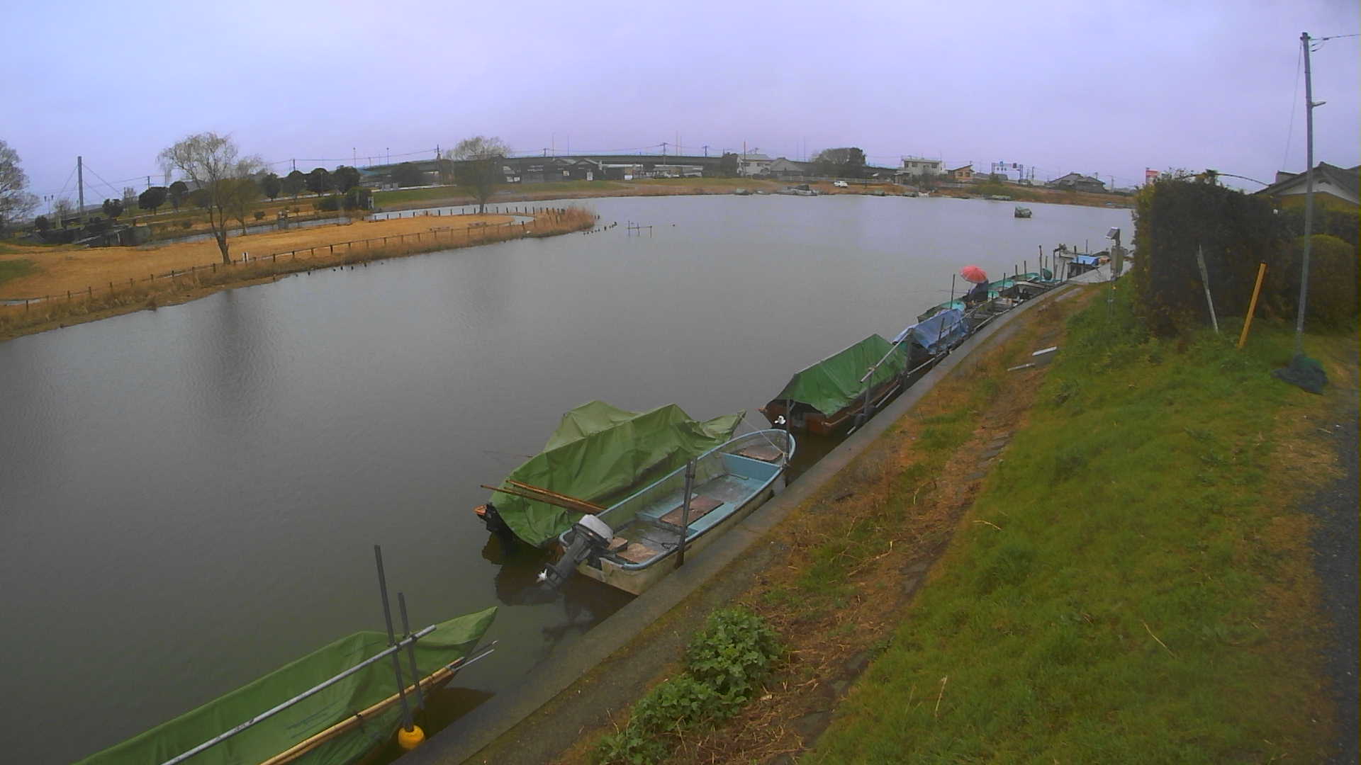 yokoko2026030312_image