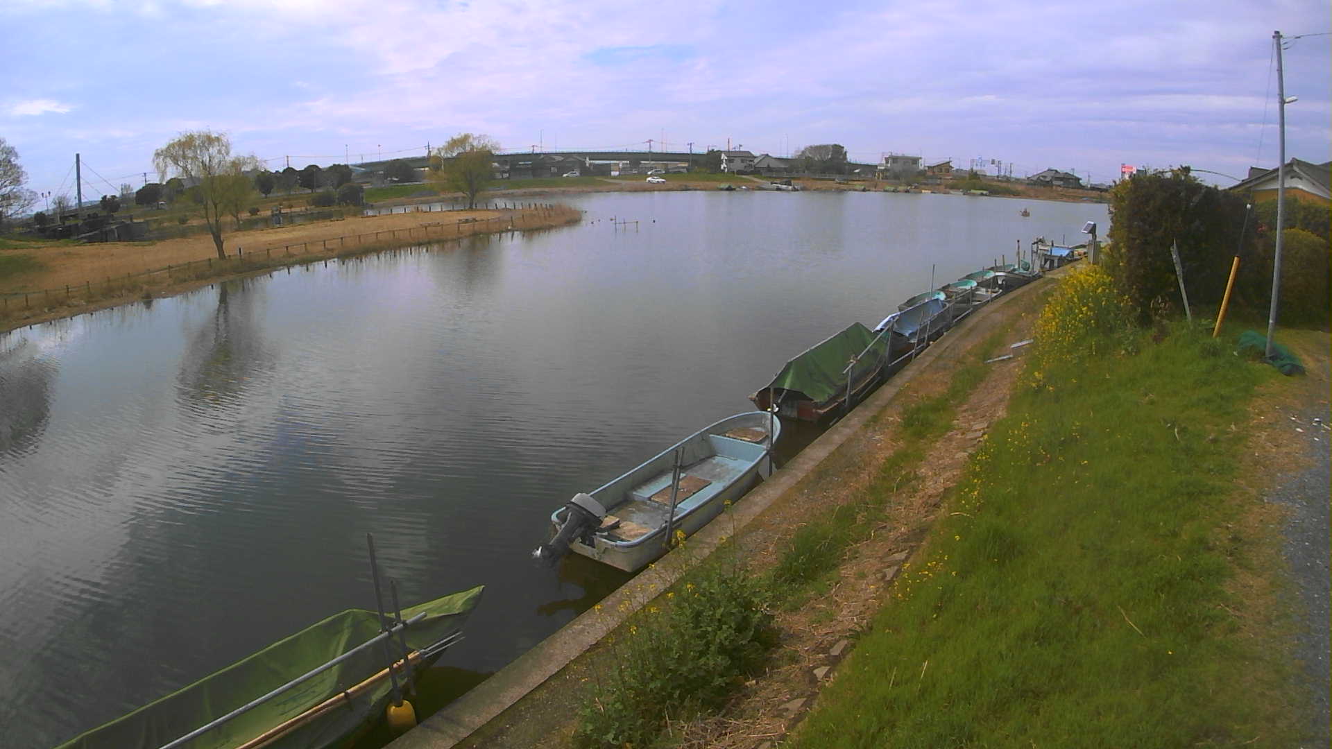 yokoko2026031912_image