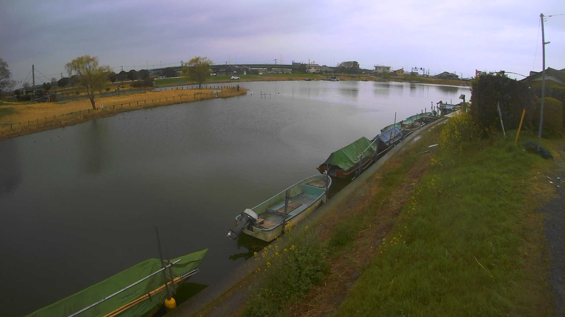 yokoko2026032012_image