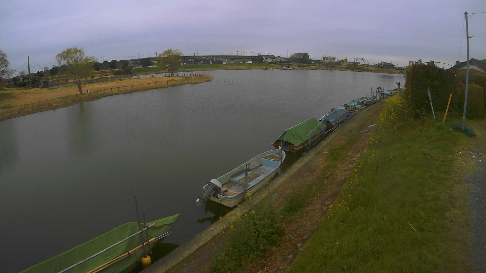 yokoko2026032014_image