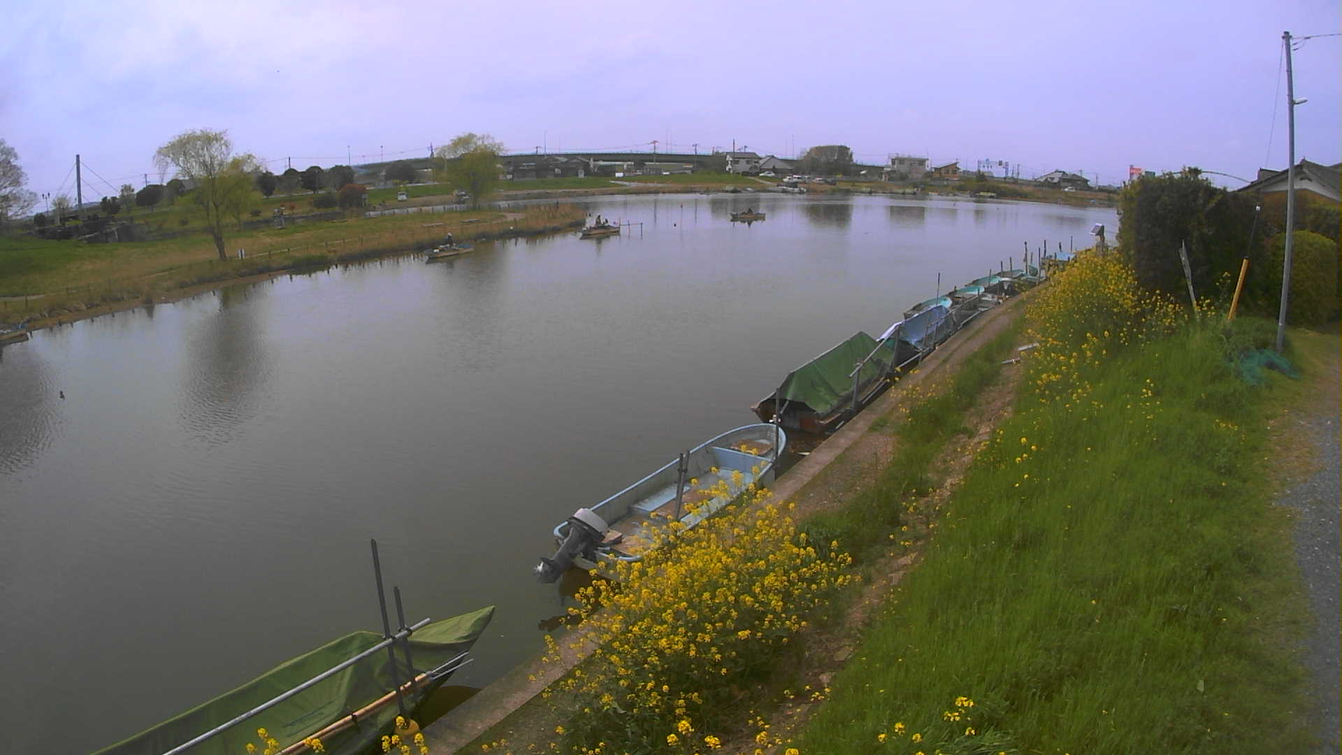 yokoko2026040512_image